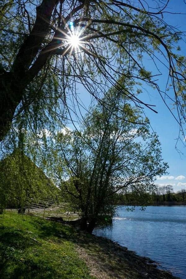 L'Oree Du Lac - Formule Chambres Marcenay Dış mekan fotoğraf
